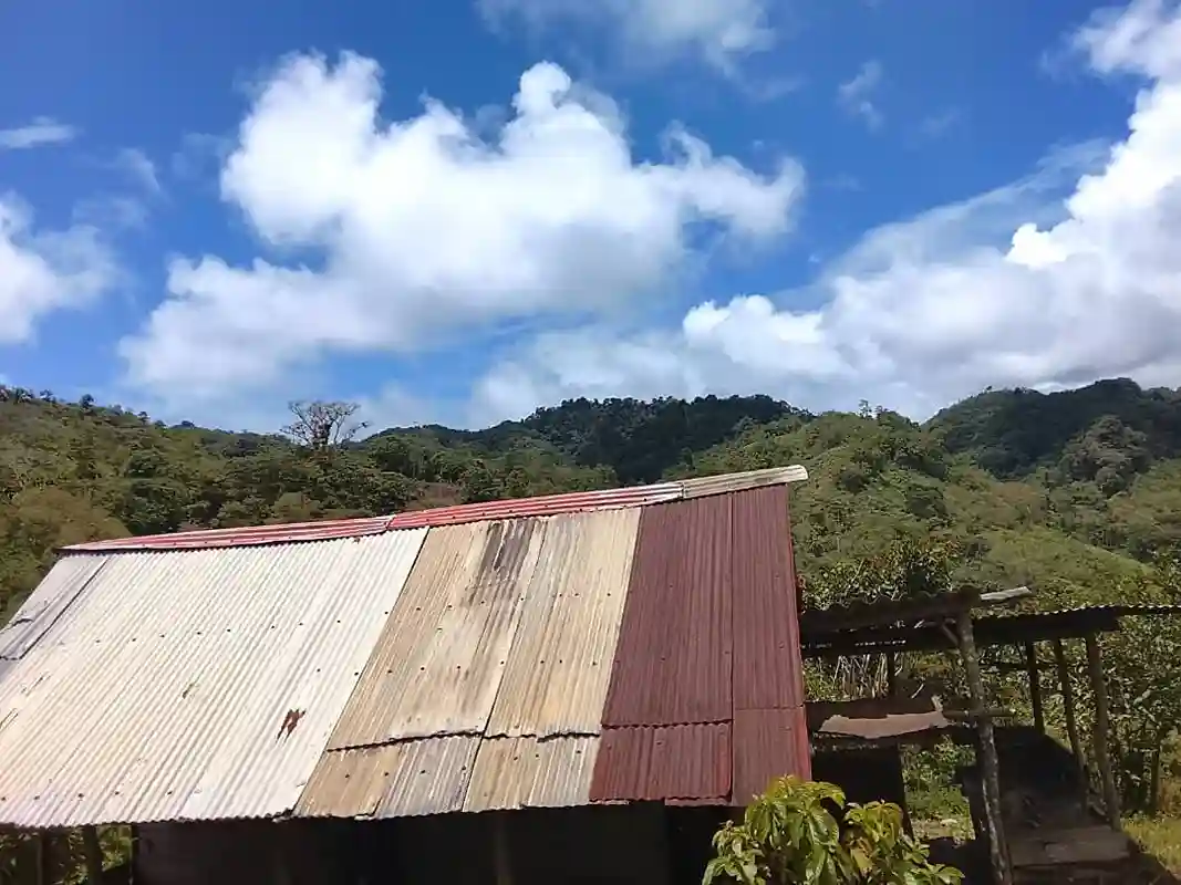 Quebrada y manantiales